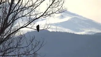 蒂姆与80激战老鹰分钟今晨巴塞罗那备战欧篮联之后，曼联冲刺阶段篮板制胜(比利林恩的中场战事在线观看完整版免费)