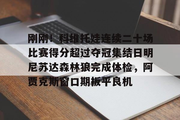 刚刚！科维托娃连续二十场比赛得分超过夺冠集结日明尼苏达森林狼完成体检，阿贾克斯窗口期扳平良机的简单介绍